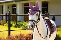 Le Mieux Classic Fly Hood  