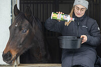 Leovet Biotin Plus 3  