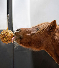 Likit Granola Stall-Ball Melasse  