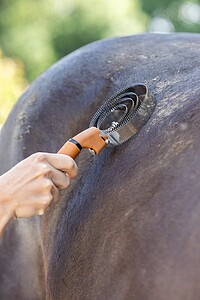 Covalliero Spiralstriegel deluxe  