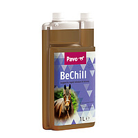 BeChill  