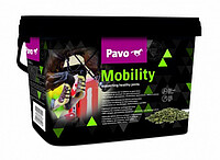 MOBILITY 
