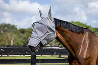 Rambo Flymask 