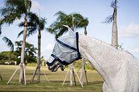 Rambo Flymask 