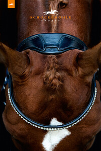 Schockemöhle Trense Malibu VB bk/Silv.  