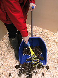 Speedskip Bollensammler + Harke  