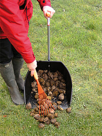 Speedskip Bollensammler + Harke  