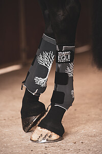 EQUI Compress Set Hinterbeine S  