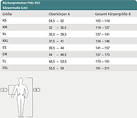 Swing Rückenprotektor P06 Erwachsene *  