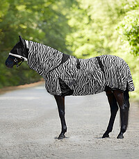 Ekzemdecke Zebra 