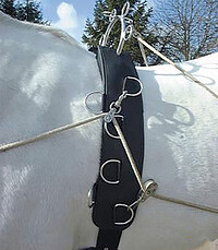 Felix Brasseur Multi Longiergurt  