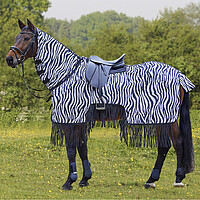 Fliegenausreitdecke Zebra mit Fransen  