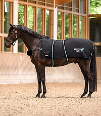 Health+​Care TecSupreme Heiz&Massagedecke 