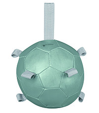 Karottenball mistel 