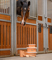 kleine Futterschale "Enjoy your snack" m 