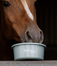 kleine Futterschale "Enjoy your snack" m 