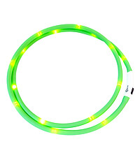 LED-​Halsriemen für Pferde 