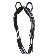 Longiergurt mit 2 Handgriffen synthetik 