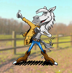 Pferdedecken & Zubehör