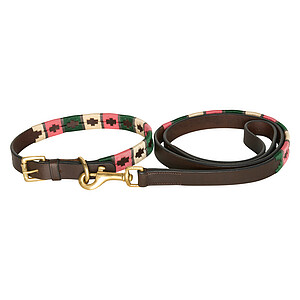 Halsbänder & Leinen