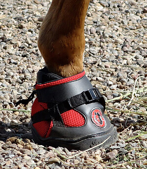 Hufschuhe, -bearbeitung, -pflege.....