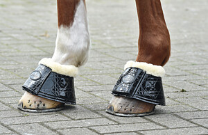 Hufglocken