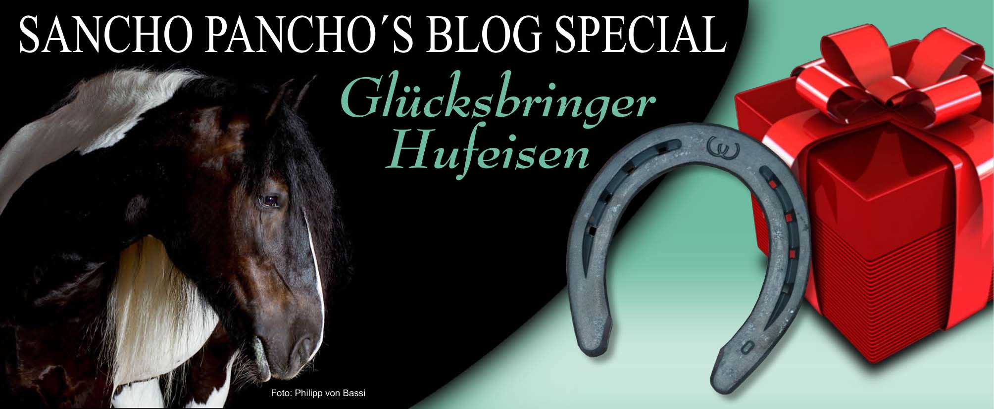 Glücksbringer Hufeisen