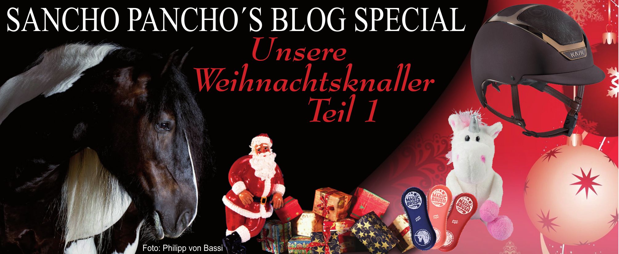 Unsere Weihnachtsknaller Teil 1