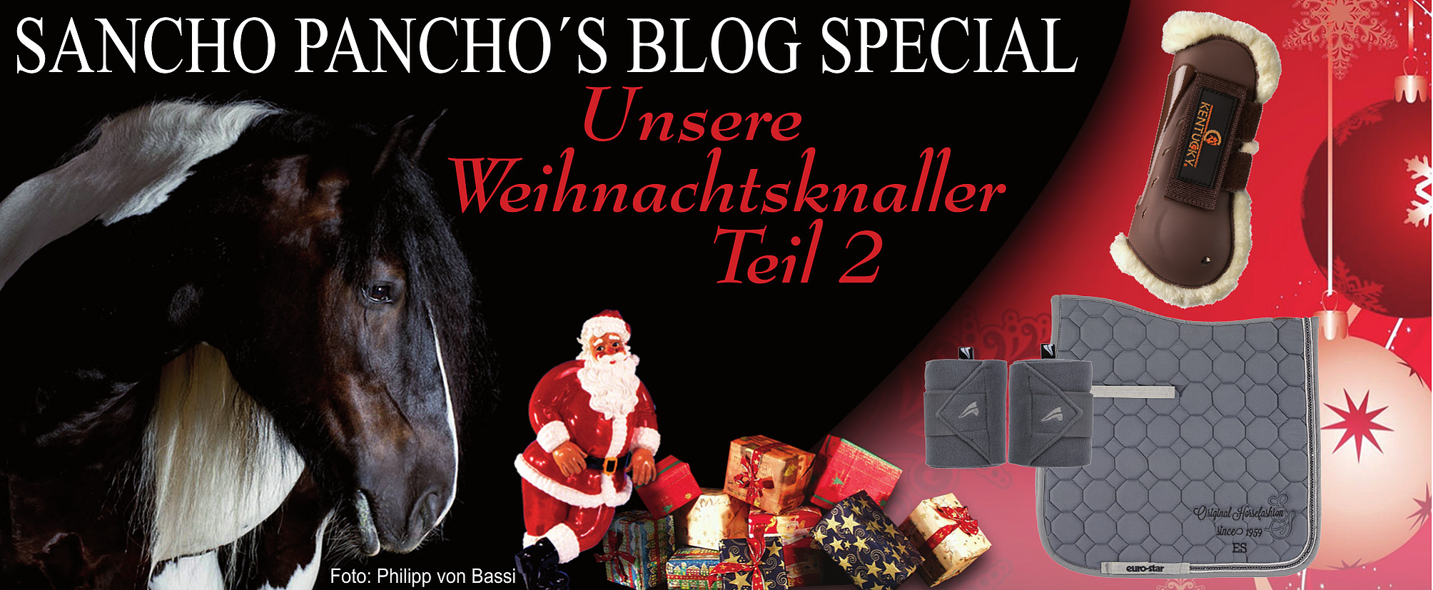 Unsere Weihnachtsknaller Teil 2